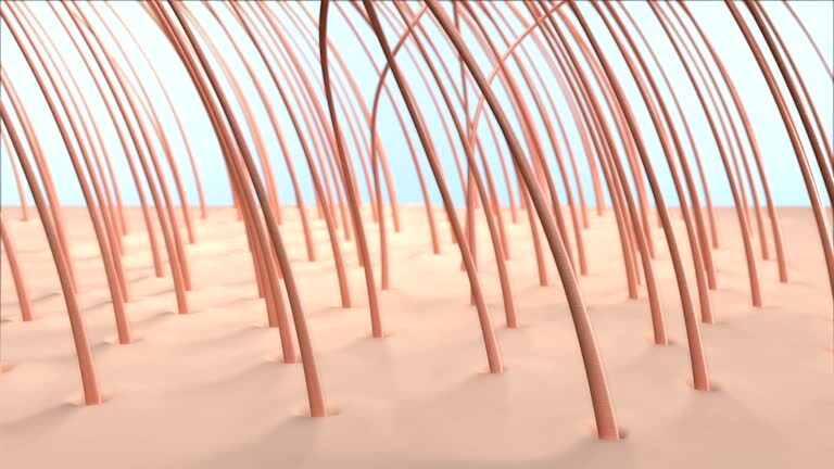PRP Hair Loss Treatment